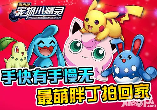 宠物小精灵活动