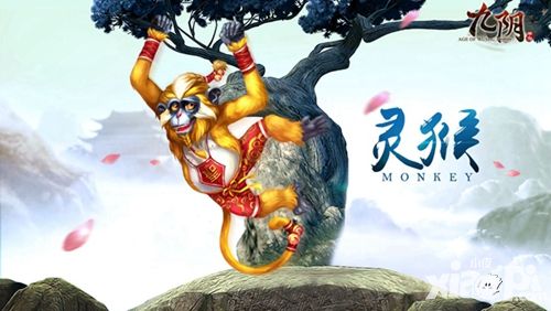 九阴新版
