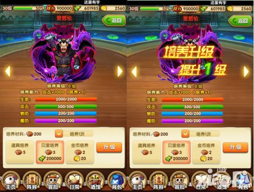 航海王强者之路属性培养