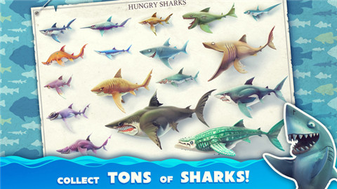 饥饿鲨世界3D3