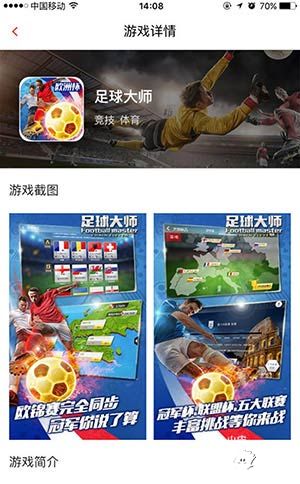 足球大师活动 