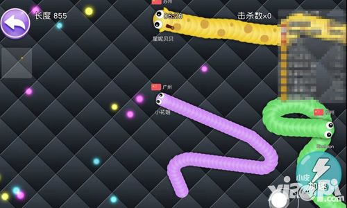 蛇蛇大作战手游 