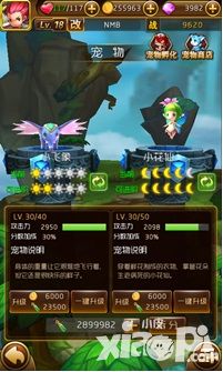  幻想空战宠物攻略详细介绍