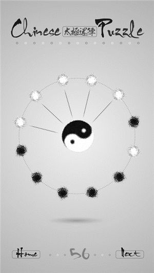 太极迷阵4