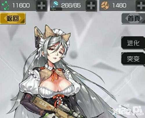  零界点白鸟属性