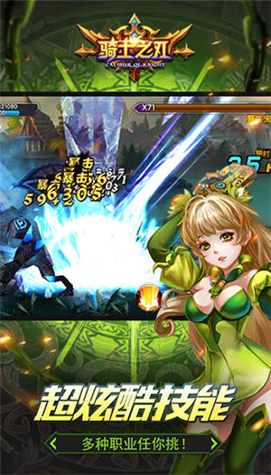 骑士之刃5