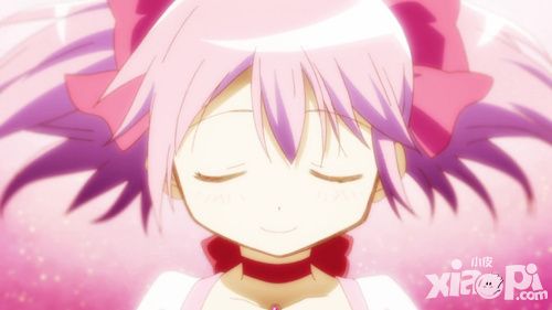 魔法少女小圆外传
