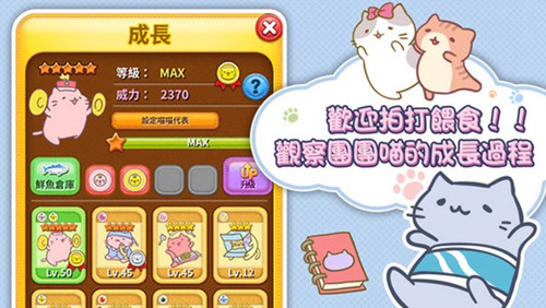 团团喵5