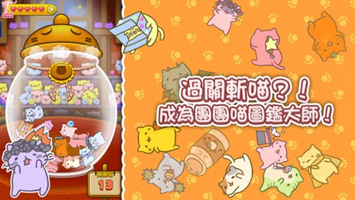 团团喵3