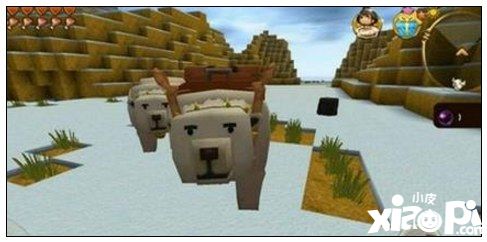 迷你世界