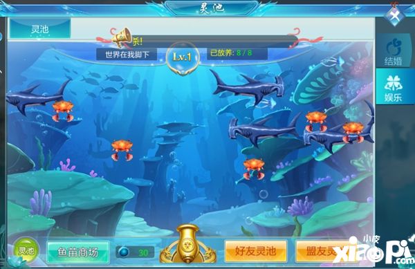 仙侠神域养鱼