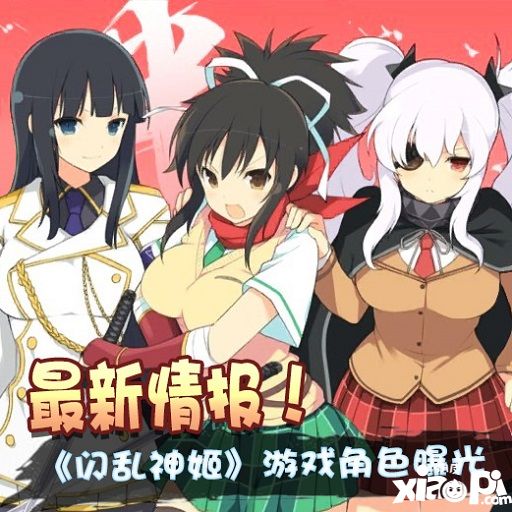闪乱神姬