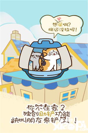 猫咪挂机什么猫
