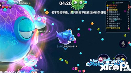 海底大作战齐聚