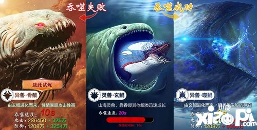 吞鲲
