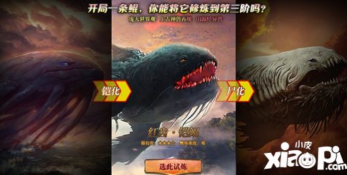 吞鲲