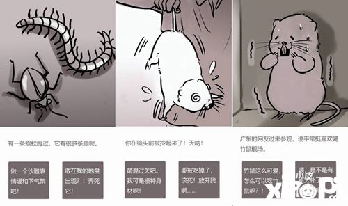 竹鼠活下去玩法 