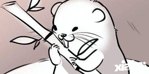 竹鼠活下去生存