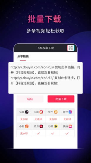飞狐视频下载器1