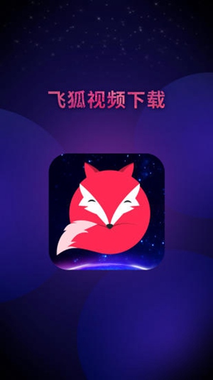 飞狐视频下载器3