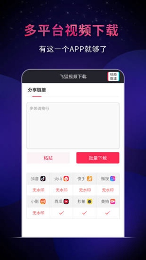 飞狐视频下载器4