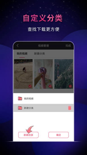 飞狐视频下载器2