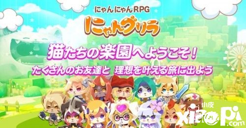 猫咪乐园