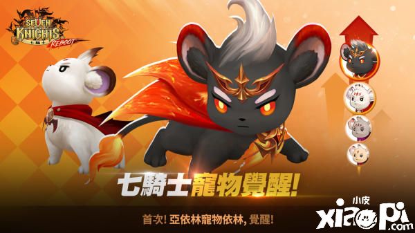 《七骑士》迎来首次宠物觉醒更新！战斗应援能力增强