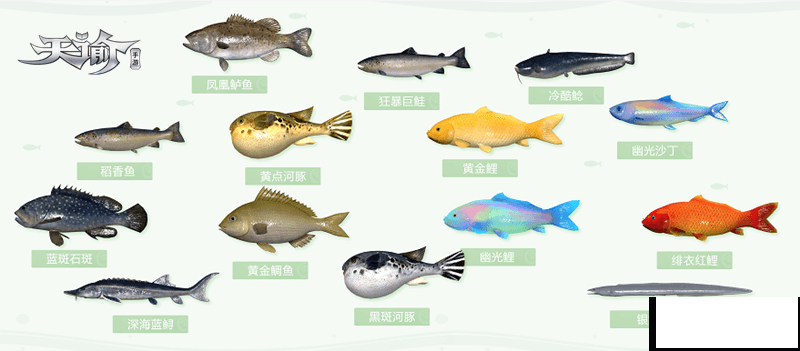 天谕手游