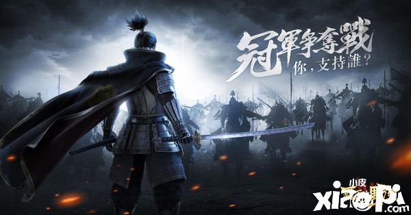 霸王之野望