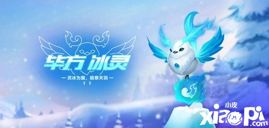极品手持登录即领，萌宠毕方皮肤免费送！