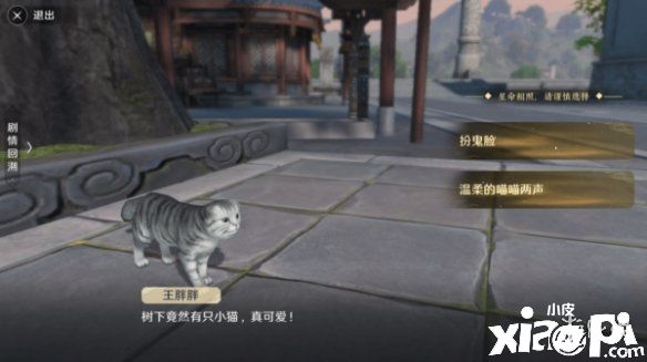 《天涯明月刀手游》猫之友在哪 猫之友任务奇遇攻略