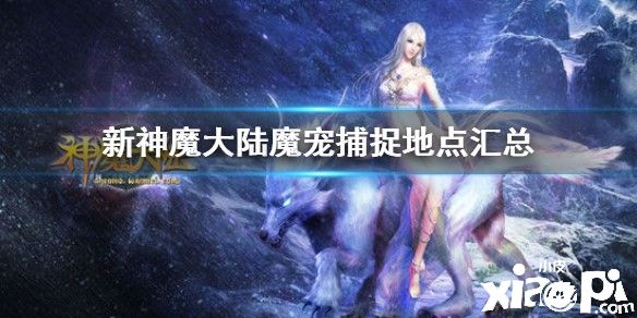 新神魔大陆魔宠位置大全