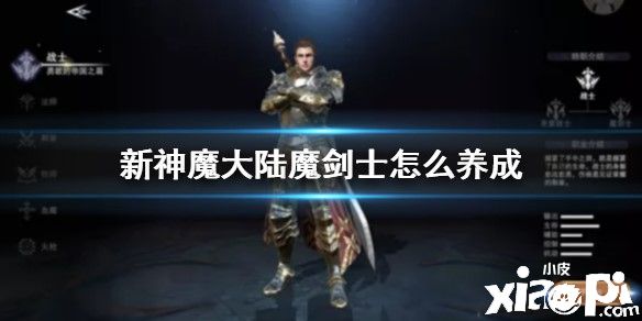 新神魔大陆魔剑士的养成攻略