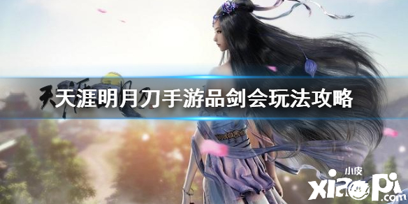 天涯明月刀手游品剑会玩法攻略
