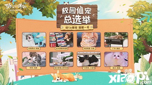 萌宠才是可爱标配 《梦幻新诛仙》展示校园“仙宠”合集