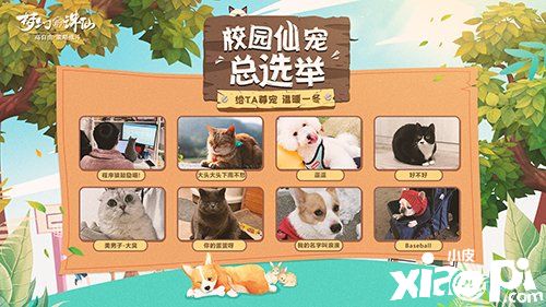 萌宠才是可爱标配 《梦幻新诛仙》展示校园“仙宠”合集