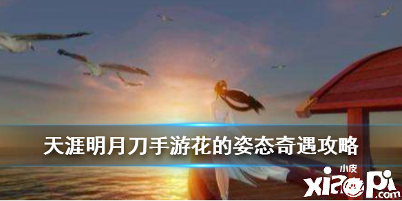 天涯明月刀手游花的姿态奇遇任务攻略