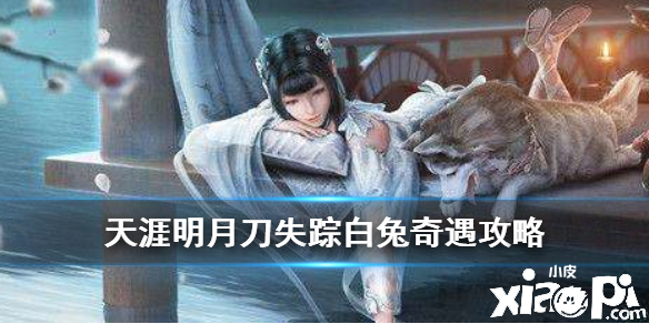 天涯明月刀手游失踪白兔奇遇任务攻略