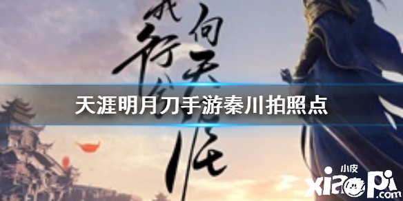 天涯明月刀手游秦川胜景录拍照点汇总