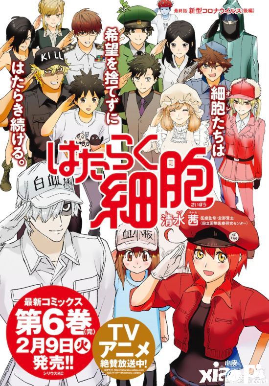 清水茜《工作细胞》漫画正式完结 最终卷6月发售