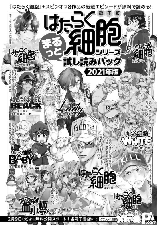 清水茜《工作细胞》漫画正式完结 最终卷6月发售