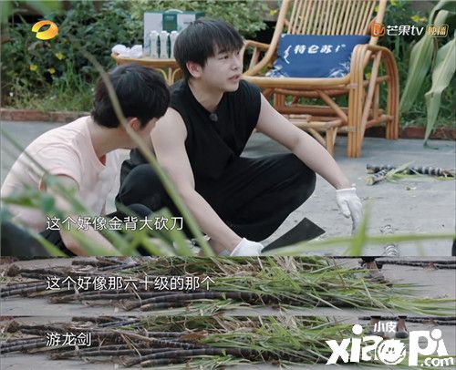 彭昱畅正式代言《梦幻西游三维版》《梦幻西游网页版》