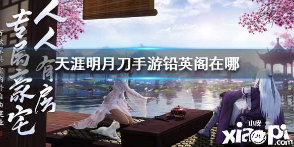 天涯明月刀手游铅英阁位置介绍