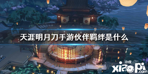 天涯明月刀手游伙伴羁绊介绍