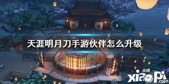 天涯明月刀手游伙伴升级攻略