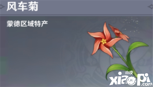 原神手游风车菊分布位置介绍