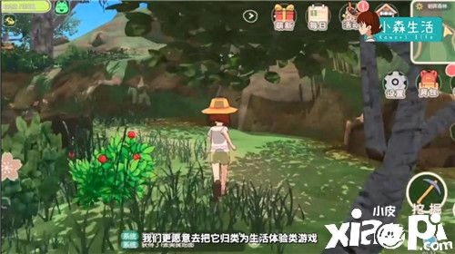 逃离城市是一种怎样的体验?《小森生活》“主创有话说”