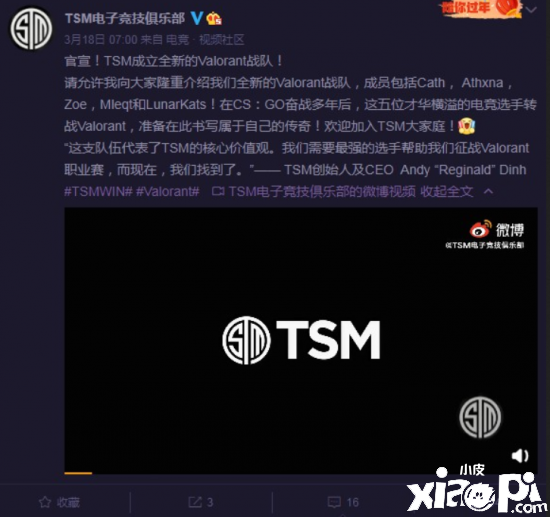 TSM组建新《Valorant》战队 成员由女性和性少数队员组成