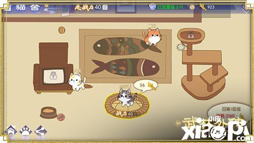 喂养萌喵领福利 新《武林外传手游》猫舍玩法上线